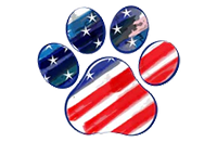 icon_policy