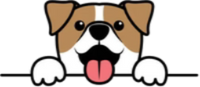 icon_policy